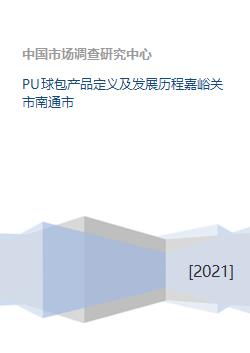 pu球包产品定义及发展历程嘉峪关市南通市