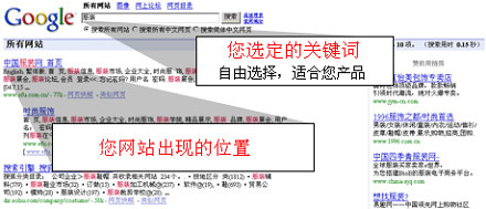 南通网站优化,南通SEO服务,南通SEO-为您提供一站式网络推广服务!