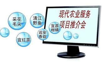 一亩田的业务介绍