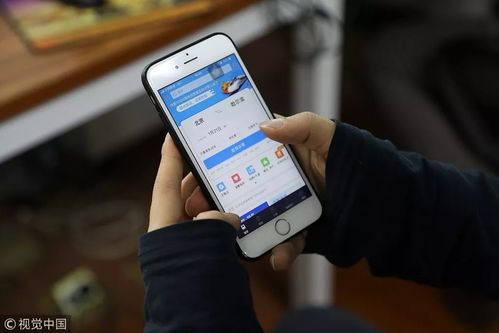 免费 2019年这些统统免费 伏虎人不知道就亏大了