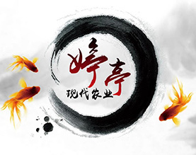农副产品做网站成功案例-农副产品做推广成功案例-农副产品做电商成功案例 - 中企动力