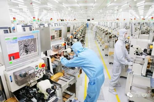江苏南通 扎得深 行得稳 走得远 助推民营经济根深叶更茂